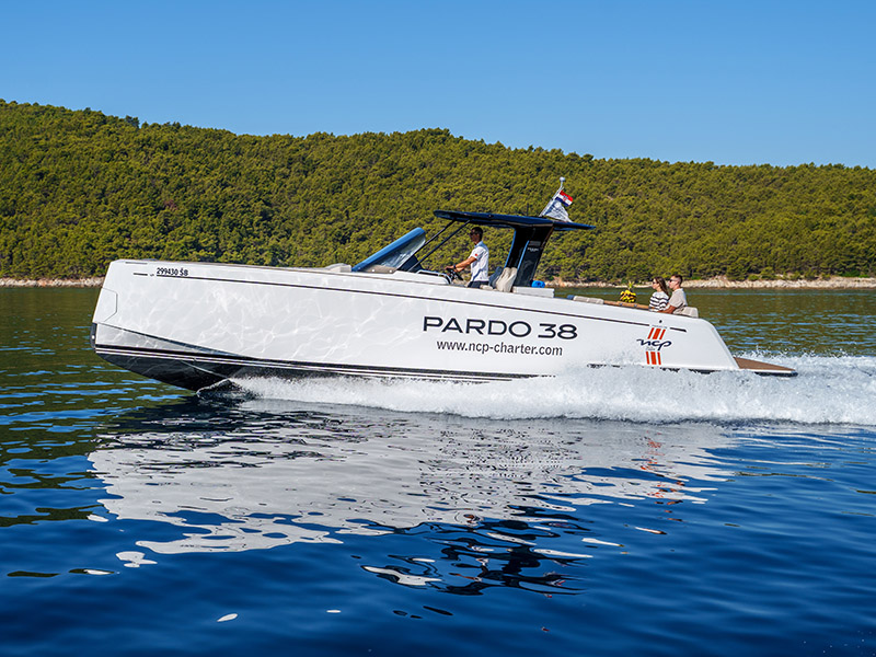 Pardo 38